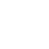Skate
