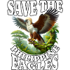 Aigle singe