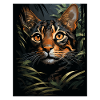 Bengal Cat
