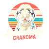 Bernedoodle Hund Oma