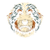 Bernedoodle Dog
