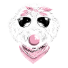 Bernedoodle Dog