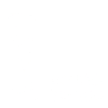 1931 Limited Edition