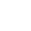 1934 limited edition