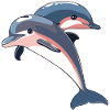 Dolphin Sea Creatures Sea Creature