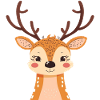 Cerf Cerf Chasse Fauve