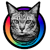 Rainbow Cat