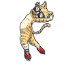 Figure Skating - Cat Figure Skating