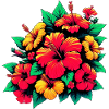 Fleurs d’hibiscus