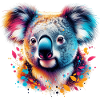 Koala