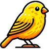 Canary