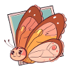 Butterfly Animal Butterfly