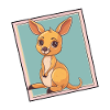 Kangaroo Sydney