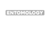 Entomology Entomologist Insect