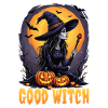 Halloween Witch Costume Witch Broom