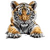 Bengal Tiger King Tiger