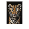 Bengal Tiger King Tiger
