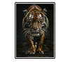Bengal Tiger King Tiger