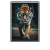 Bengal Tiger King Tiger