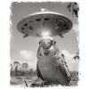 Perruche Budgie OVNI Alien Alien