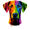 Rhodesian Ridgeback Popart Regenbogen Bunt Hunde