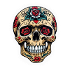 Skull Neo Traditional