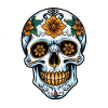 Skull Neo Traditional