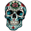 Skull Neo Traditional
