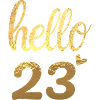Hello 23 Gold