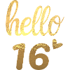 Hello 16 Gold