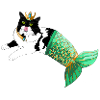 Black and White Mermaid Cat