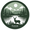 Forest Journey