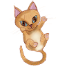 Cute Orange kitten