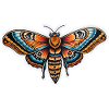 Moth Neo Traditional
