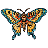 Moth Neo Traditional