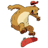 Bear on skateboard