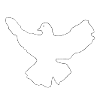 White dove of peace