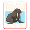 Walrus Walrus Gift
