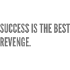 Success is the best revenge.