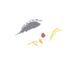 Chillin avec mon Cockatiel