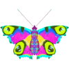 butterfly project