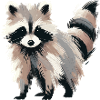 Raccoon