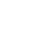 1937 limited edition