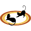 funny cats | Vectorgraphic