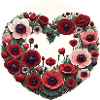 Fleurs d’anémone
