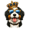 Bernedoodle Hund Krone