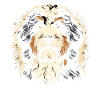 Bernedoodle Dog