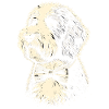 Bernedoodle Dog
