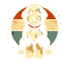 Bernedoodle Dog
