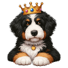 Bernedoodle Dog Crown